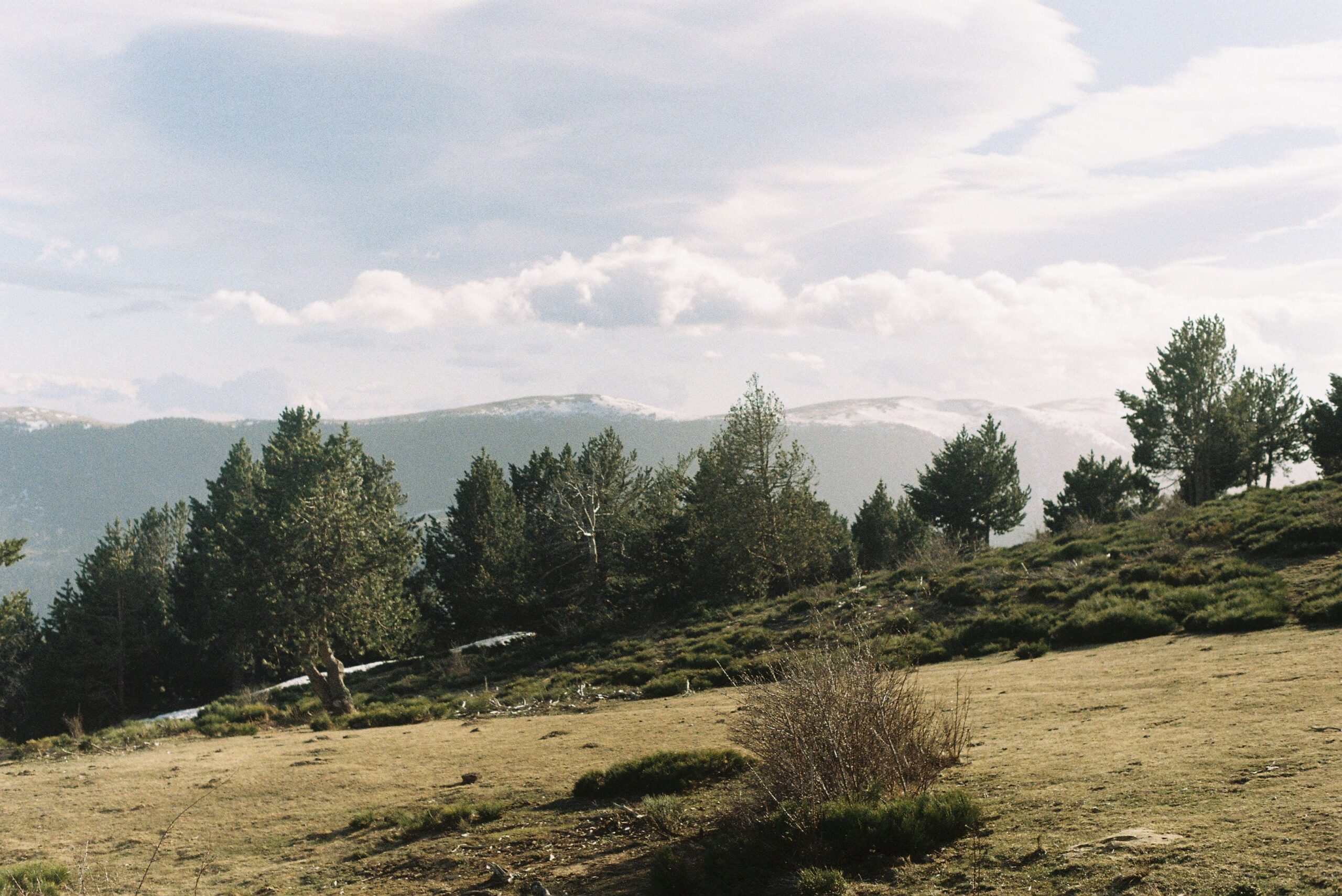 Don't Get Too Big - a solitary figure in an open, quiet landscape